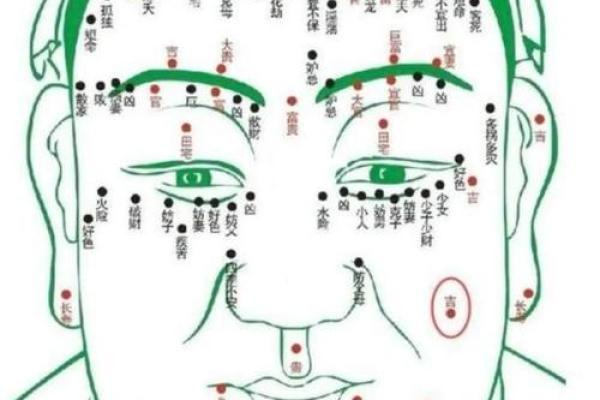脸上黑痣算命图解吉凶