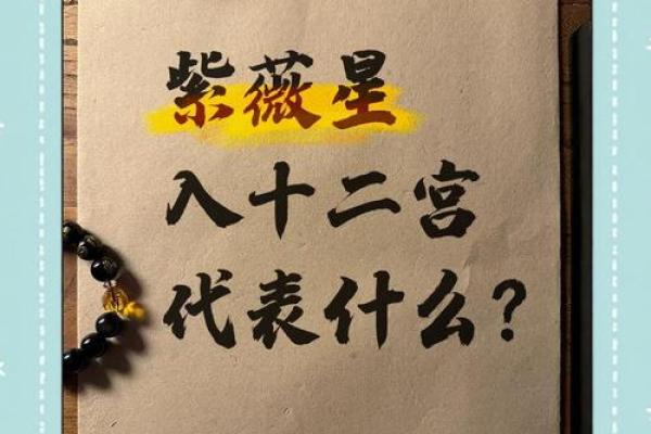 紫薇斗数下载软件