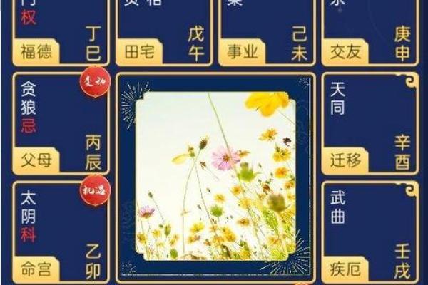 今日运势紫薇斗数 今日运势紫薇斗数
