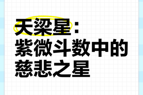 紫薇斗数之星