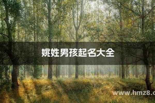 姚姓男孩名字大全-姚姓男孩起名字大全-姚姓名字大全姓名 姚姓男孩名字大全-姚姓男孩起名字大全-姚姓名字大全姓名