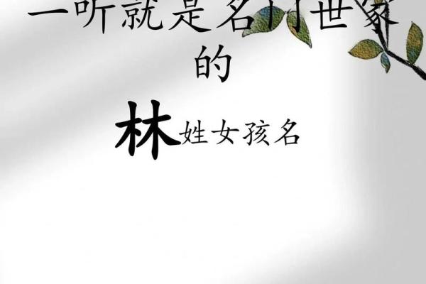 林姓女孩名字大全-林姓女孩起名字大全-林姓名字大全姓名
