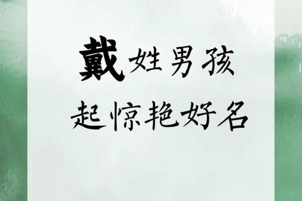 戴姓女孩名字大全-戴姓女孩起名字大全-戴姓名字大全姓名