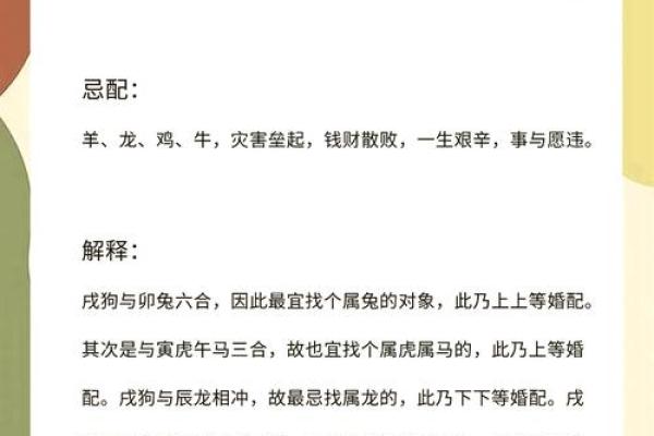 六月份出生的属狗男孩取什么名字好？姓名