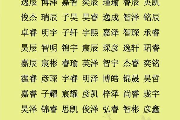 2019年6月25号寅时出生的男孩如何起名姓名