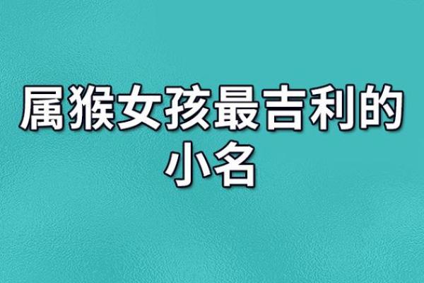 属猴亥时出生的男孩起什么名，宜用什么字姓名