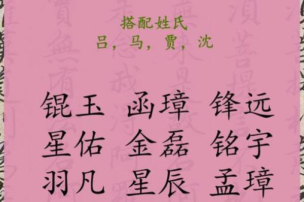 2019年3月27号酉时出生的男孩应该起什么样的名字姓名