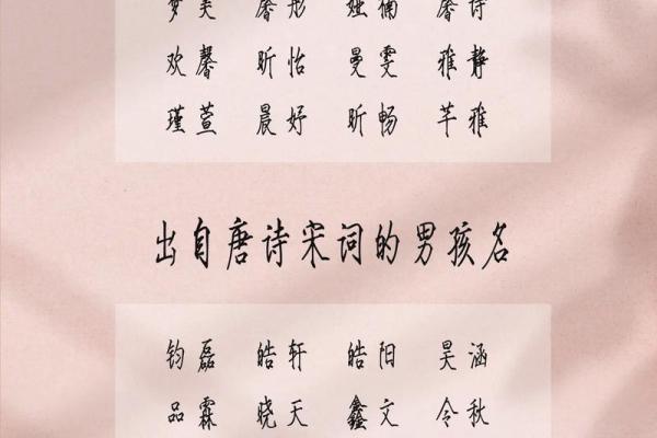 2019年3月30号申时出生的男孩起名方法姓名