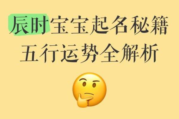属龙辰时出生的男孩起什么名，用什么字姓名