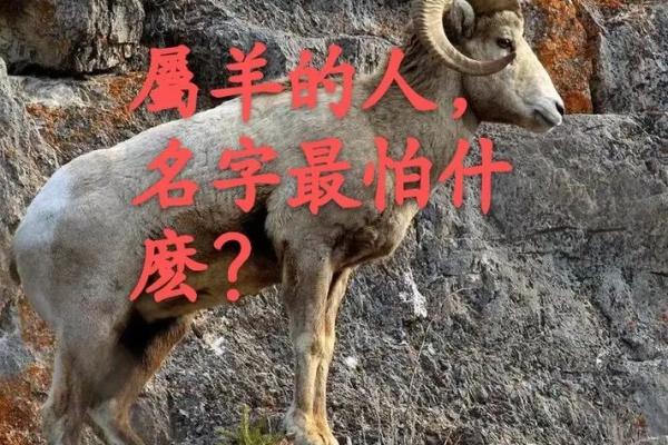 下午2点出生的属羊男孩起什么名,适合什么字姓名 下午2点出生的属羊男孩起什么名,适合什么字姓名