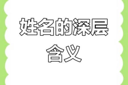 数理诱导作用分类-姓名学-姓名分析姓名