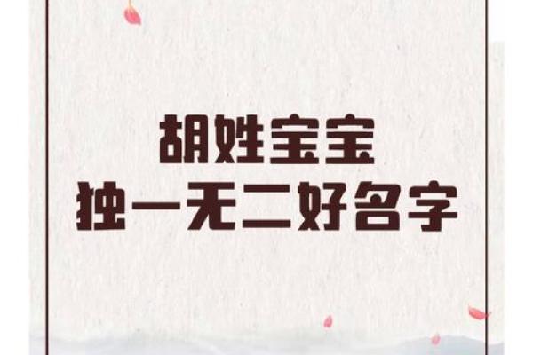 胡姓男孩名字大全-胡姓男孩起名字大全-胡姓名字大全姓名