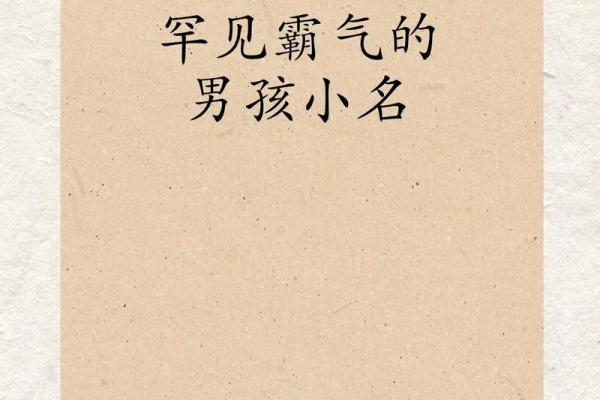 2019年3月22号亥时出生的男孩应该起什么样的名字姓名