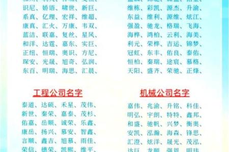 网络公司名字大全-名字大全姓名