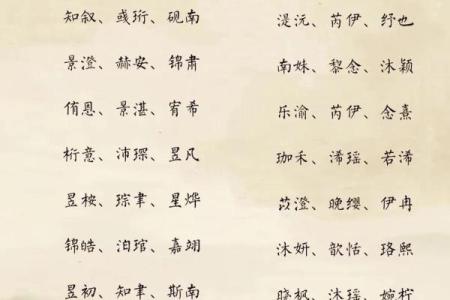 2019年3月26号巳时出生的男孩要怎么起名字姓名