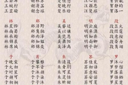 2019年6月24号卯时出生的男孩如何起名姓名