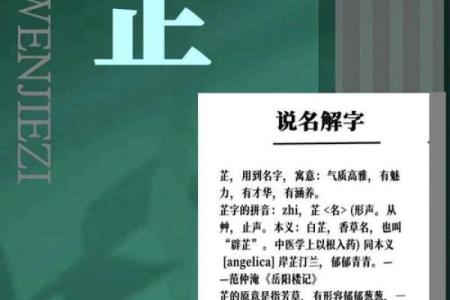 古代取名的论述-姓名学-华易网姓名