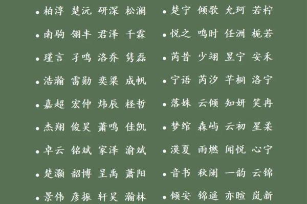怎样来给属猪亥时出生的男孩起名姓名