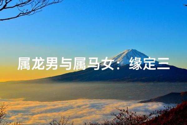 属龙男和属马女姻缘怎么样 属龙男和属马女配对好不好