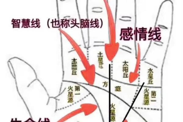 《手相学习百科》:手纹的成长与改变 《手相学习百科》:手纹的成长与改变