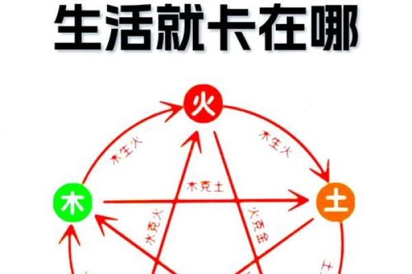 八字五行平衡