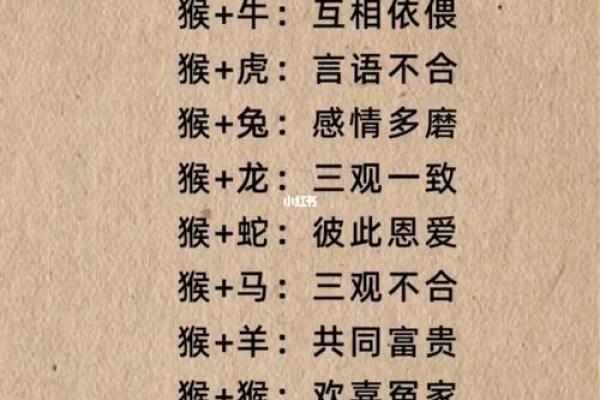 生肖配对猴和鸡相配吗