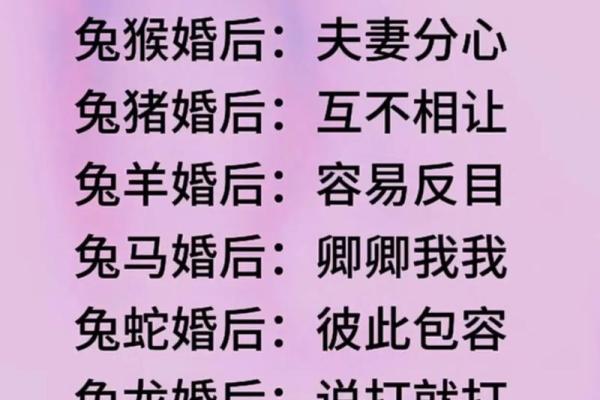 属兔的婚姻配对最佳