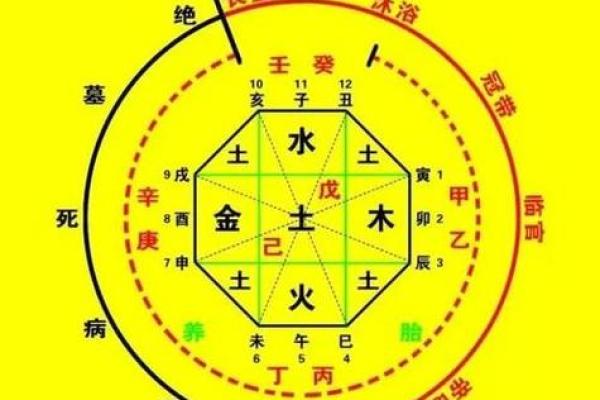 紫薇星生辰八字查询