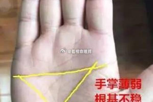 断掌纹看相算命图解
