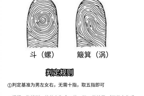 手指算命,手指掐算算命图解