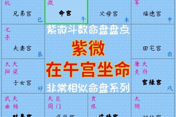 紫薇斗数子由
