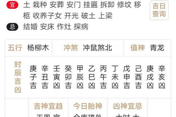 选择吉日出生是阴历还是阳历解析