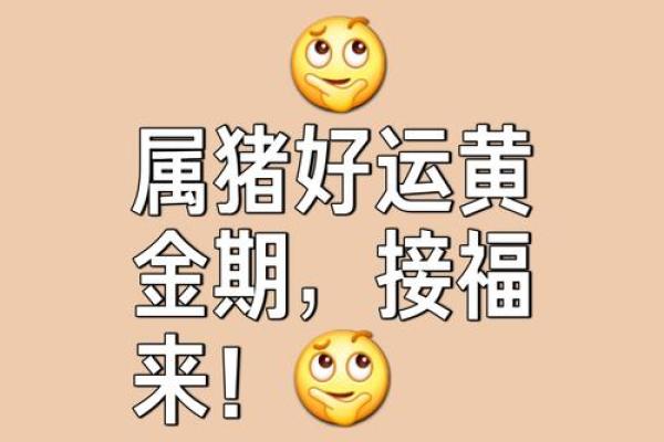 己亥猪年开运纳福，哪个方位最旺你-