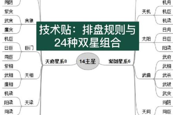 紫微斗数体系框架（零基础入门）