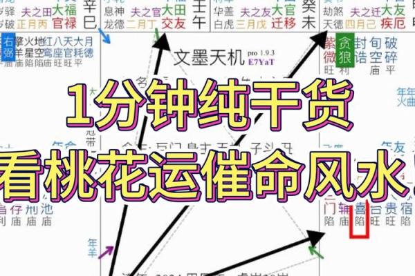 紫薇斗数看贵气