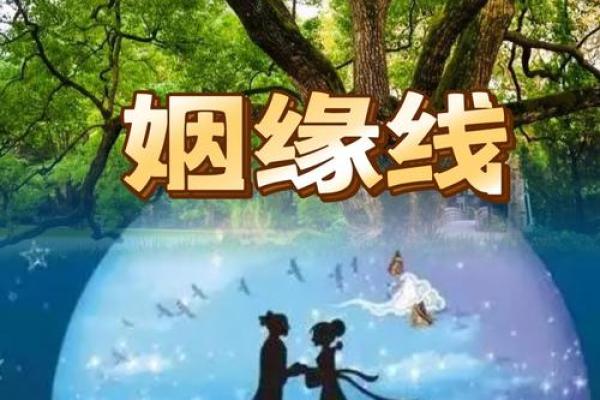 qq号姻缘