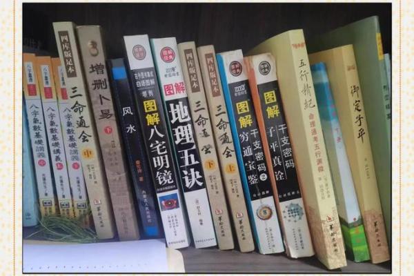八字星运书籍推荐：打造幸福人生的神秘指南