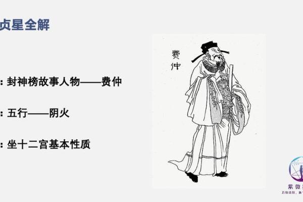 紫微斗数之廉贞星
