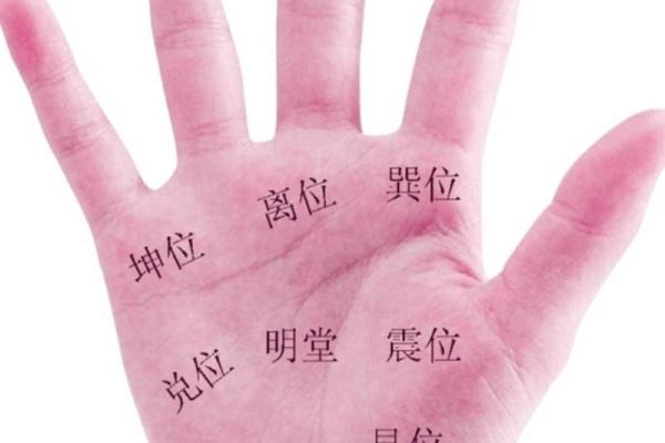 凯帝阿手相算命图解大全03