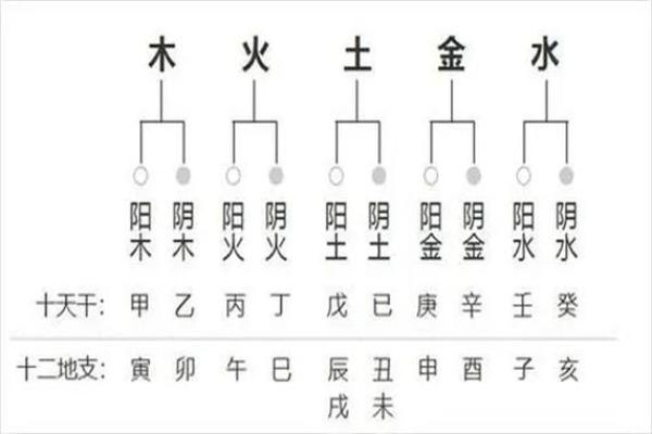 八字哪四柱排列最准确图片