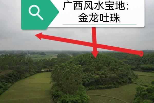 风水：买房选址有讲究，七大准则教你找准风水宝地！