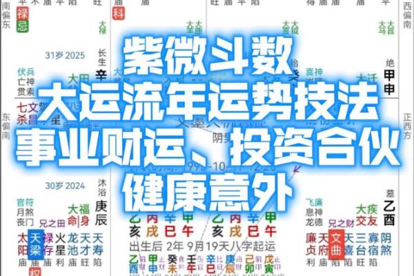 紫薇斗数流年对冲宫