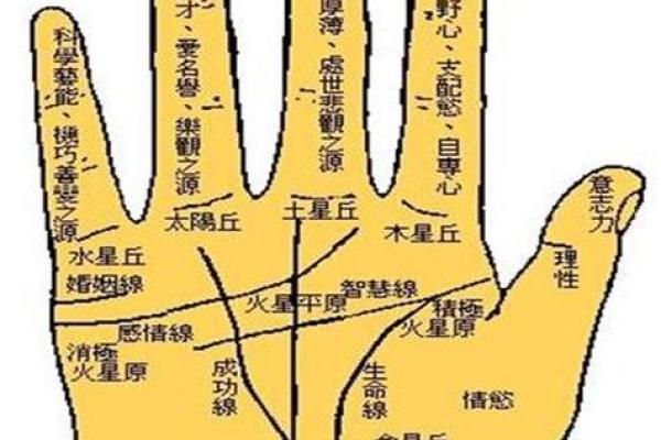 手相图解大全女右手算命 看手相算命图解女性右手
