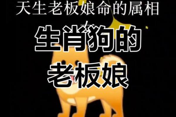 属狗的女孩出生吉日 属狗女最好命的出生日子