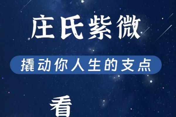 庄式紫薇斗数排盘
