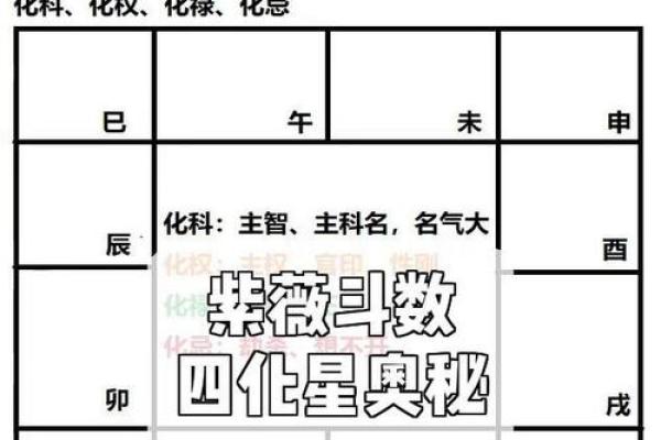 紫薇斗数免费入门
