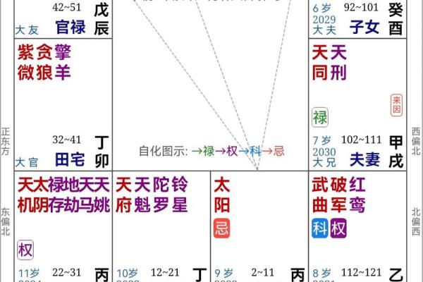 紫薇斗数教学初级