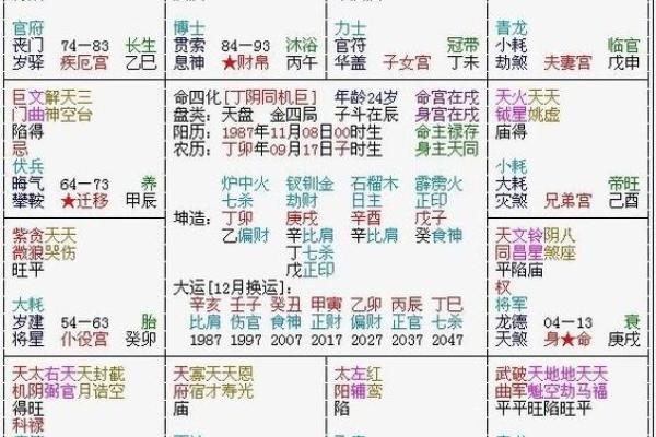 杨紫紫薇斗数