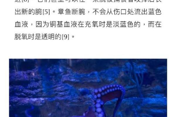 章鱼姓名配对三藏 章鱼的另一个名字叫什么？
