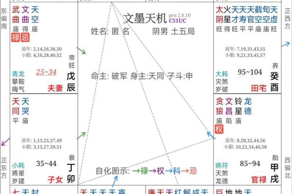 逆天改运？《飞星紫微斗数》古籍揭秘命运织锦，一册在手扭转乾坤